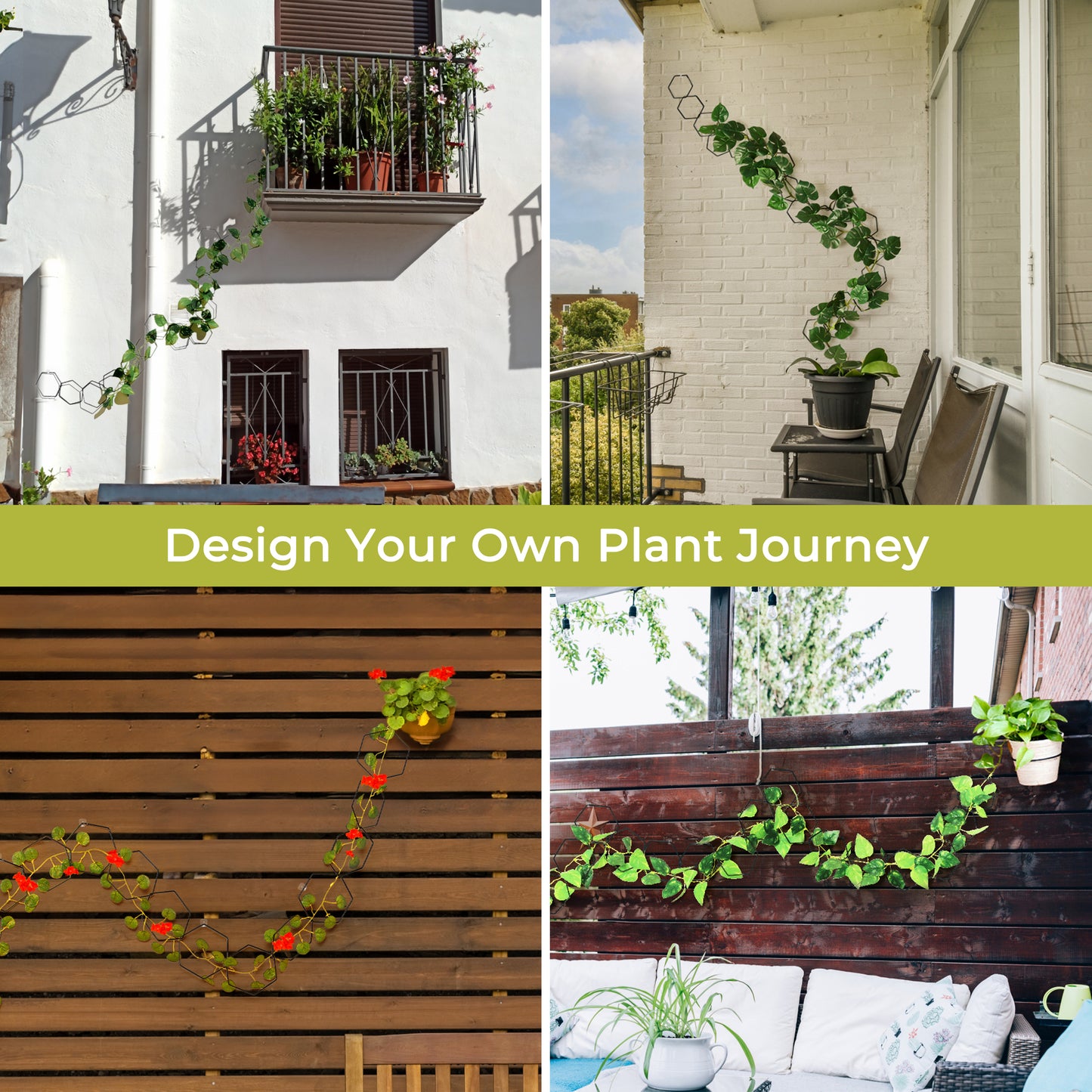 chain trellis for indoor plants Chain Trellis for Climbing Plants – FILDA